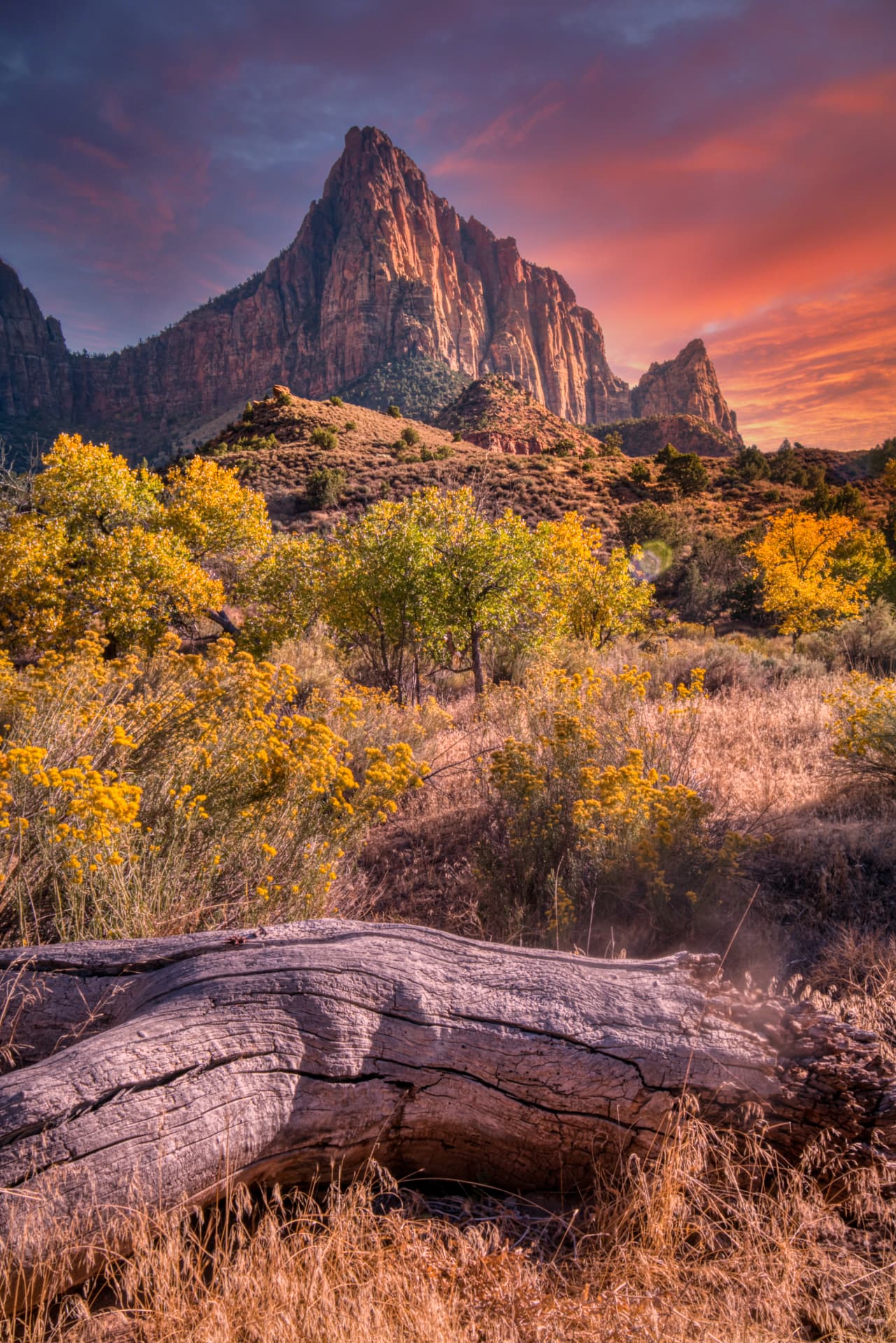 The Watchman at sunset, Zion National Park