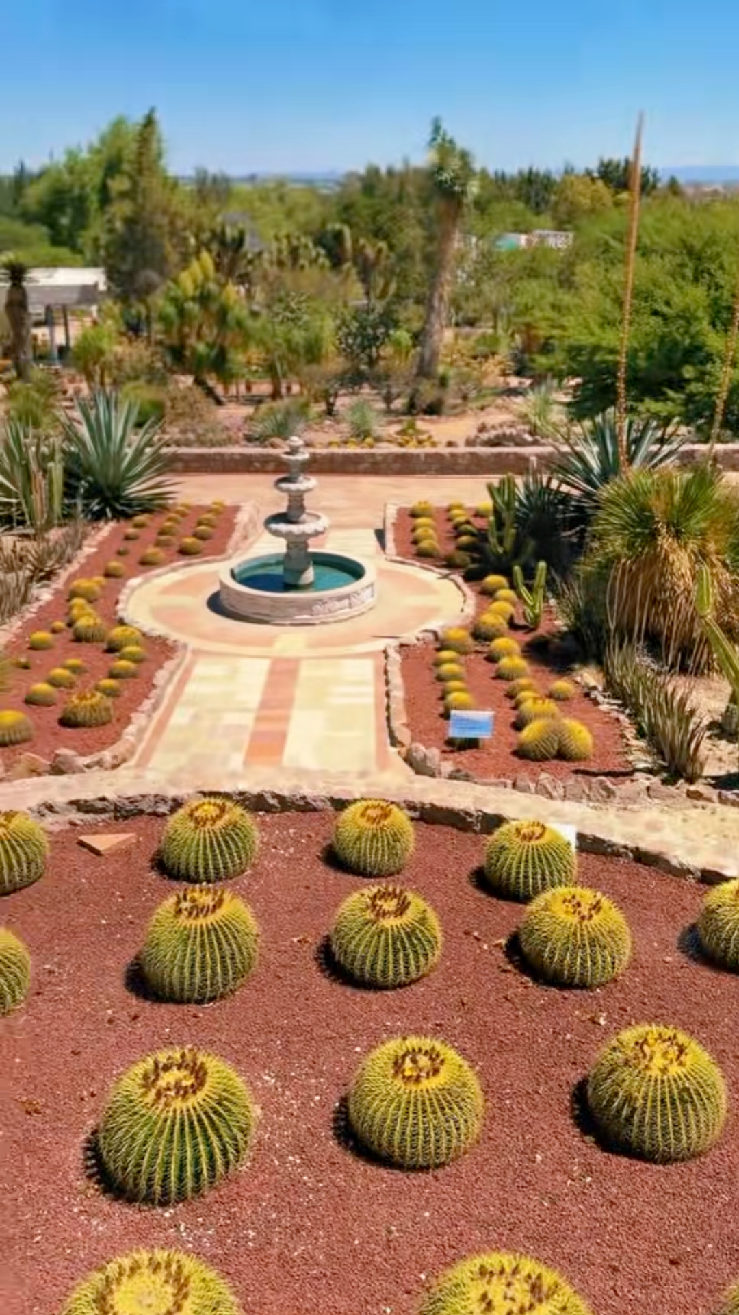 Jardín Botánico El Izotal UASLP — San Luis Potosí, MX